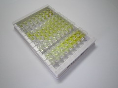 α1-B-糖蛋白(a1BG)检测试剂盒(酶联免疫吸附试验法)