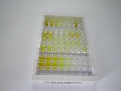 激活STAT蛋白抑制因子3(PIAS3)检测试剂盒(酶联免疫吸附试验法)
