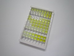 细胞分裂周期因子42(CDC42)检测试剂盒(酶联免疫吸附试验法)