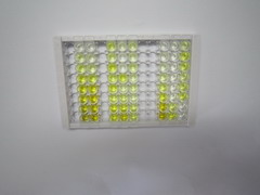 受體相互作用絲氨酸蘇氨酸激酶3(RIPK3)檢測試劑盒(酶聯(lián)免疫吸附試驗(yàn)法)