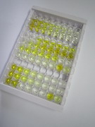 微小染色體維持缺陷蛋白3(MCM3)檢測試劑盒(酶聯(lián)免疫吸附試驗法)