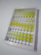 再生胰岛衍生蛋白3α(REG3a)检测试剂盒(酶联免疫吸附试验法)