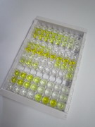 再生胰岛衍生蛋白3α(REG3a)检测试剂盒(酶联免疫吸附试验法)