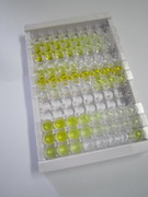 再生胰岛衍生蛋白3γ(REG3g)检测试剂盒(酶联免疫吸附试验法)