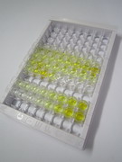 再生胰岛衍生蛋白3γ(REG3g)检测试剂盒(酶联免疫吸附试验法)