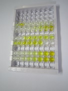鞘氨醇1磷酸酯受体3(S1PR3)检测试剂盒(酶联免疫吸附试验法)