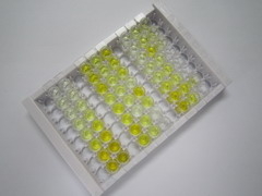白介素11受体α(IL11Ra)检测试剂盒(酶联免疫吸附试验法)