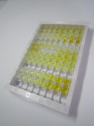 AMPA离子能谷氨酸受体1(GRIA1)检测试剂盒(酶联免疫吸附试验法)