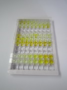 代谢型型谷氨酸受体1(GRM1)检测试剂盒(酶联免疫吸附试验法)