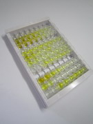 醛脫氫酶1家族成員A1(ALDH1A1)檢測(cè)試劑盒(酶聯(lián)免疫吸附試驗(yàn)法)