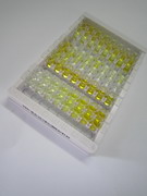 醛脫氫酶3家族成員A1(ALDH3A1)檢測(cè)試劑盒(酶聯(lián)免疫吸附試驗(yàn)法)