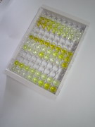 白介素1ζ(IL1z)检测试剂盒(酶联免疫吸附试验法)