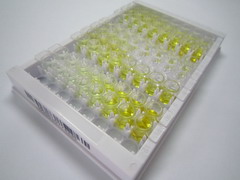组蛋白脱乙酰基酶6(HDAC6)检测试剂盒(酶联免疫吸附试验法)