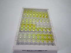 沉默調(diào)節(jié)蛋白1(SIRT1)檢測(cè)試劑盒(酶聯(lián)免疫吸附試驗(yàn)法)