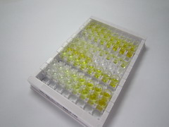 沉默調節(jié)蛋白3(SIRT3)檢測試劑盒(酶聯免疫吸附試驗法)