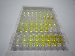 腎母細胞瘤蛋白1(WT1)檢測試劑盒(酶聯(lián)免疫吸附試驗法)