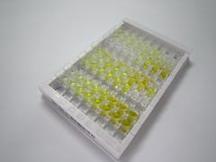 11-β-羟基类固醇脱氢酶2(HSD11b2)检测试剂盒(酶联免疫吸附试验法)