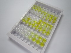 封闭蛋白4(CLDN4)检测试剂盒(酶联免疫吸附试验法)