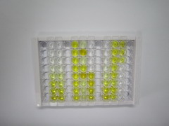 羧肽酶N1(CPN1)检测试剂盒(酶联免疫吸附试验法)