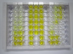 唾液富組蛋白1(HTN1)檢測試劑盒(酶聯(lián)免疫吸附試驗法)