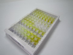 驱动蛋白家族成员1A(KIF1A)检测试剂盒(酶联免疫吸附试验法)