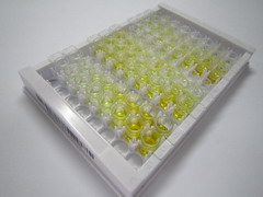 赖氨酰氧化酶样蛋白2(LOXL2)检测试剂盒(酶联免疫吸附试验法)