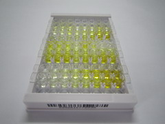 赖氨酰氧化酶样蛋白3(LOXL3)检测试剂盒(酶联免疫吸附试验法)
