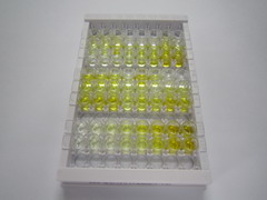 赖氨酰氧化酶样蛋白4(LOXL4)检测试剂盒(酶联免疫吸附试验法)