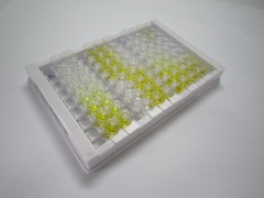 微纤丝关联蛋白5(MFAP5)检测试剂盒(酶联免疫吸附试验法)