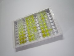 腱蛋白样蛋白1(CHRDL1)检测试剂盒(酶联免疫吸附试验法)
