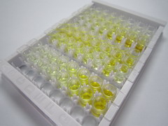肽基精氨酸脱亚氨酶Ⅱ(PADI2)检测试剂盒(酶联免疫吸附试验法)