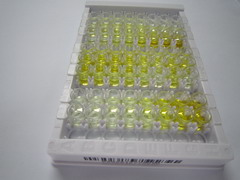 过氧化还原酶4(PRDX4)检测试剂盒(酶联免疫吸附试验法)