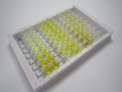 过氧化还原酶2(PRDX2)检测试剂盒(酶联免疫吸附试验法)