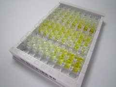 转胶蛋白2(TAGLN2)检测试剂盒(酶联免疫吸附试验法)