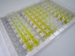 Sestrin 1蛋白(SESN1)检测试剂盒(酶联免疫吸附试验法)