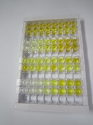 钙调蛋白样蛋白5(CALML5)检测试剂盒(酶联免疫吸附试验法)