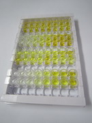 含硬化蛋白域蛋白1(SOSTDC1)检测试剂盒(酶联免疫吸附试验法)