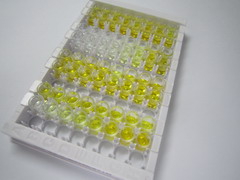 G蛋白偶聯(lián)雌激素受體1(GPER)檢測試劑盒(酶聯(lián)免疫吸附試驗法)
