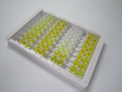 衔接因子相关蛋白复合体3β1(AP3b1)检测试剂盒(酶联免疫吸附试验法)