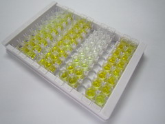 淀粉样蛋白β前体样蛋白1(APLP1)检测试剂盒(酶联免疫吸附试验法)
