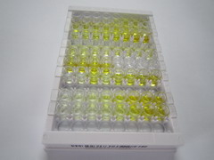 叉頭框蛋白Q1(FOXQ1)檢測(cè)試劑盒(酶聯(lián)免疫吸附試驗(yàn)法)