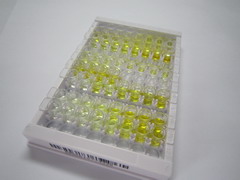 蛋白聚糖4(PRG4)检测试剂盒(酶联免疫吸附试验法)