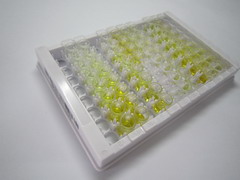 蛋白酶体亚基α5(PSMa5)检测试剂盒(酶联免疫吸附试验法)