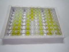 蛋白酶激活亚基3(PSME3)检测试剂盒(酶联免疫吸附试验法)