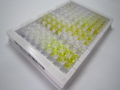 多胺调节因子1结合蛋白1(PMFBP1)检测试剂盒(酶联免疫吸附试验法)