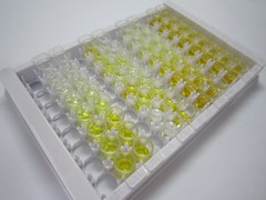 二肽基肽酶10(DPP10)检测试剂盒(酶联免疫吸附试验法)
