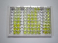 溶血卵磷脂酰基转移酶4(LPCAT4)检测试剂盒(酶联免疫吸附试验法)