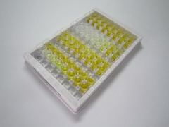 磷脂酰乙醇胺結合蛋白1(PEBP1)檢測試劑盒(酶聯(lián)免疫吸附試驗法)