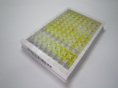 RNA结合基元蛋白8(RBM8)检测试剂盒(酶联免疫吸附试验法)