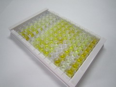 游离脂肪酸受体4(FFAR4)检测试剂盒(酶联免疫吸附试验法)